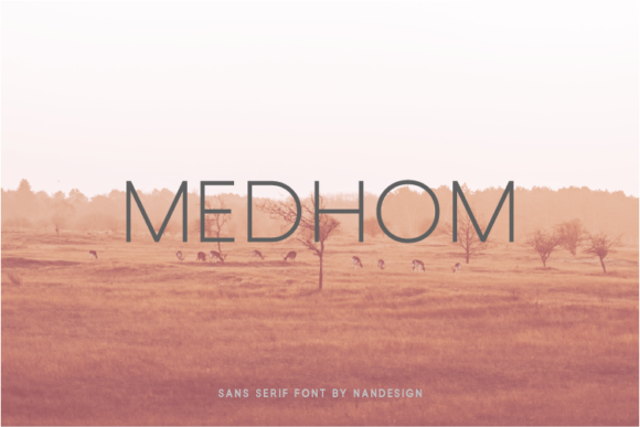 Medhom Font - Featured Image