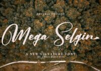 Mega Selgin Font - Featured Image