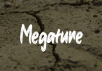 Megature Font - Featured Image