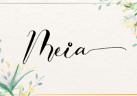 Meia Font - Featured Image