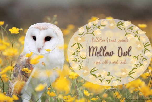 Mellow Owl Font - Featured Image