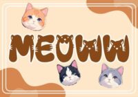 Meoow Font - Featured Image