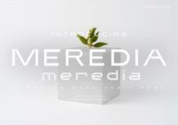 Meredia Font - Featured Image