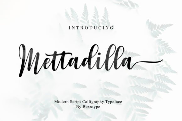 Mettadilla Script Font - Featured Image