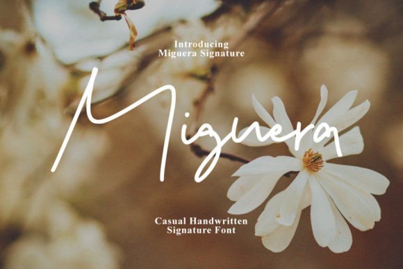 Miguera Font - Featured Image
