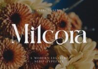 Milcora Font - Featured Image
