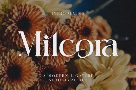 Milcora Font - Featured Image