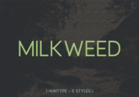 Milkweed Font - Featured Image