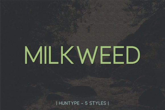 Milkweed Font - Featured Image