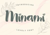 Minami Font - Featured Image