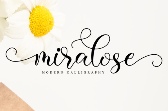 Miralose Font - Featured Image