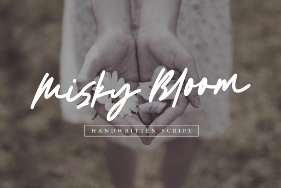 Misky Bloom Font - Featured Image
