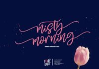 Misty Morning Font - Featured Image