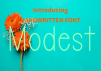 Modest Font - Featured Image