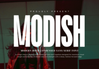 Modish Font - Featured Image