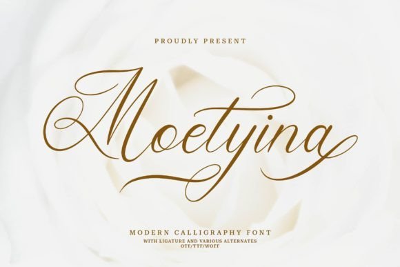 Moetyina Font - Featured Image