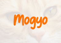 Mogyo Font - Featured Image
