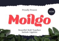 Moilgo Font - Featured Image