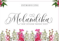 Molandika Font - Featured Image