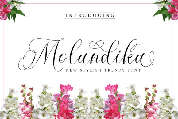 Molandika Font - Featured Image