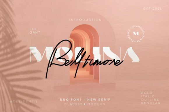 Molina Font - Featured Image