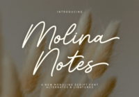 Molina Notes Font - Featured Image