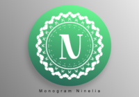 Monogram Ninelia Font - Featured Image