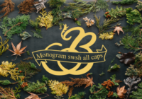 Monogram Swsh Font - Featured Image