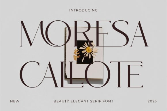 Moresa Callote Font - Featured Image