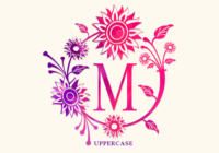 Morina Monogram Font - Featured Image