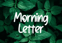Morning Letter Font - Featured Image