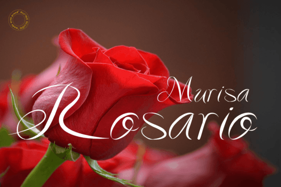 Murisa Rosario Font - Featured Image