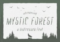 Mystic Forest Font - Featured Image