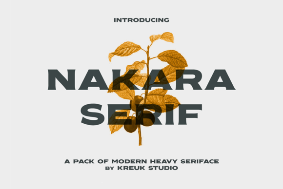Nakara Serif Font - Featured Image