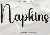 Napkins Font - Featured Image