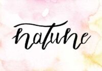 Natune Font - Featured Image