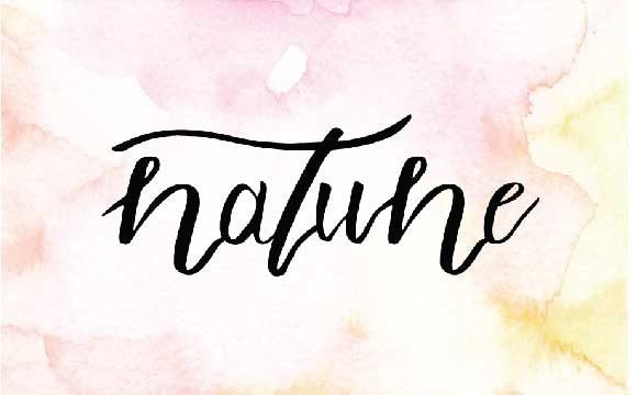Natune Font - Featured Image