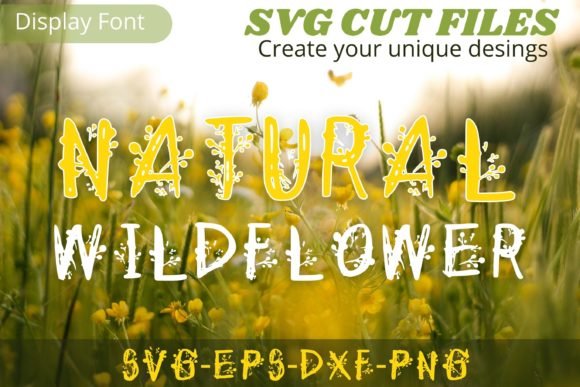 Natural Wildflower Font - Featured Image