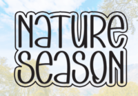 Nature Season Font - Featured Image