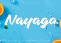 Nayaga Font - Featured Image