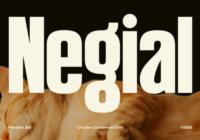 Negial Font - Featured Image
