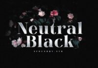 Neutral Black Font - Featured Image