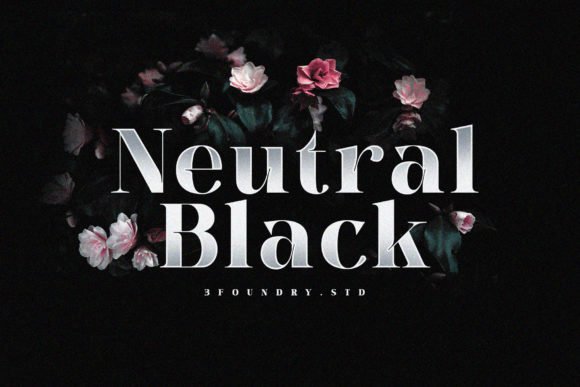 Neutral Black Font - Featured Image