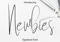 Newbies Font - Featured Image