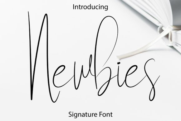 Newbies Font - Featured Image