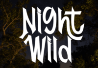 Night Wild Font - Featured Image