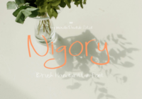 Nigory Regular Font - Featured Image