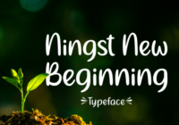 Ningst New Beginning Font - Featured Image