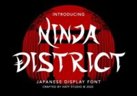 Ninja District Font - Featured Image