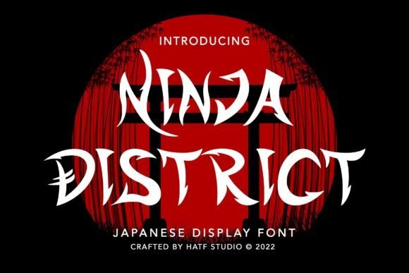 Ninja District Font - Featured Image
